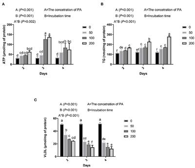 The Role of Tea Tree Oil in Alleviating Palmitic Acid-Induced Lipid Accumulation in Bovine Hepatocytes